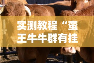 实测教程“蛮王牛牛群有挂吗”实测确实有挂