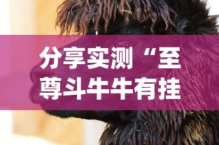 分享实测“至尊斗牛牛有挂吗	”(确实是有挂)知乎