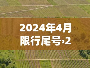2024年4月限行尾号›2024年1月9号限行