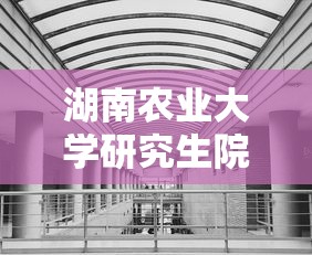 湖南农业大学研究生院›湖南农业大学研究生院导师信息 湖南农业大学研究生院›湖南农业大学研究生院导师信息