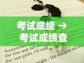 考试成绩 → 考试成绩查询