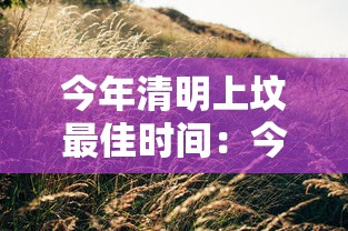 今年清明上坟最佳时间:今年清明上坟最佳时间? 今年清明上坟最佳时间:今年清明上坟最佳时间?