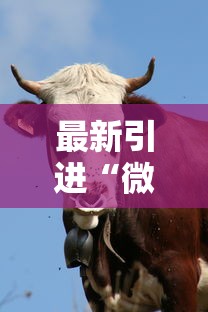 最新引进“微信牛牛群有挂吗”附开挂脚本详细教程