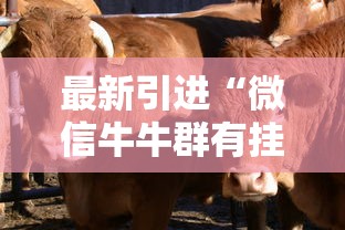 最新引进“微信牛牛群有挂吗	”附开挂脚本详细教程