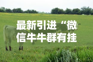 最新引进“微信牛牛群有挂吗”附开挂脚本详细教程