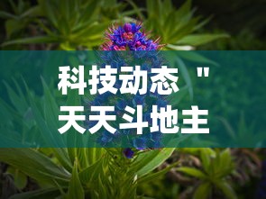 科技动态 ＂天天斗地主小程序透视(详细透视开挂教程)