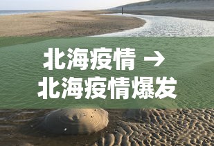 北海疫情 → 北海疫情爆发什么时候