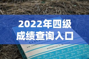 2022年四级成绩查询入口 → 2022年四级口语报名官网入口