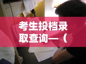 考生投档录取查询—（考生服务平台录取查询）