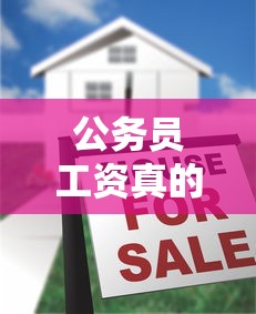 公务员工资真的很低吗 → 公务员工资那么低怎么生活