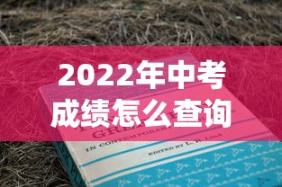 2022年中考成绩怎么查询—(2022年中考成绩统计表) 2022年中考成绩怎么查询—(2022年中考成绩统计表)