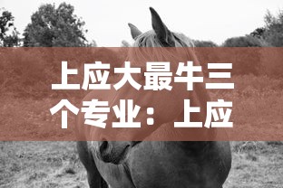 上应大最牛三个专业:上应大最厉害三个专业 上应大最牛三个专业:上应大最厉害三个专业