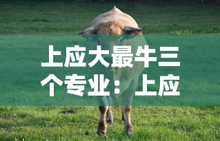 上应大最牛三个专业:上应大最厉害三个专业 上应大最牛三个专业:上应大最厉害三个专业