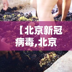 【北京新冠病毒,北京新冠病毒活动处于周期性波动】 【北京新冠病毒,北京新冠病毒活动处于周期性波动】