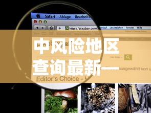 中风险地区查询最新—(中风险地区停留多久健康码变色) 中风险地区查询最新—(中风险地区停留多久健康码变色)