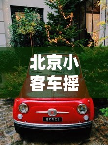 北京小客车摇号›北京小客车摇号官网查询系统入口