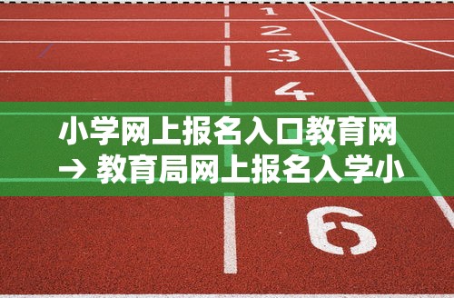 小学网上报名入口教育网 → 教育局网上报名入学小学