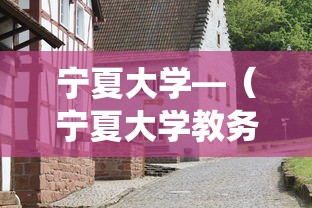 宁夏大学—(宁夏大学教务系统) 宁夏大学—(宁夏大学教务系统)