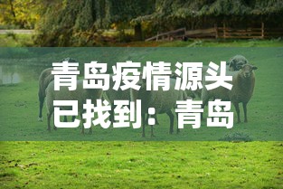 青岛疫情源头已找到:青岛疫情最新情况 青岛疫情源头已找到:青岛疫情最新情况