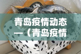 青岛疫情动态—(青岛疫情最新情况) 青岛疫情动态—(青岛疫情最新情况)