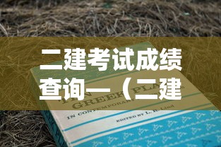 二建考试成绩查询—(二建考试成绩查询2025) 二建考试成绩查询—(二建考试成绩查询2025)