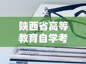 陕西省高等教育自学考试考生服务平台:陕西省高等教育自学考试成绩查询 陕西省高等教育自学考试考生服务平台:陕西省高等教育自学考试成绩查询