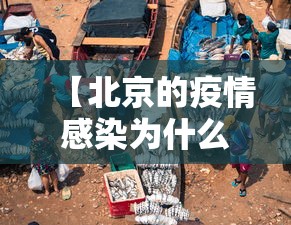 【北京的疫情感染为什么从市场开始,北京疫情感染专家】 【北京的疫情感染为什么从市场开始,北京疫情感染专家】