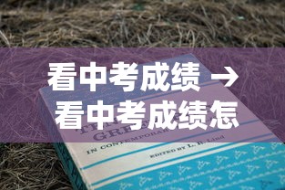 看中考成绩 → 看中考成绩怎么看最好 看中考成绩 → 看中考成绩怎么看最好