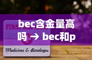 bec含金量高吗 → bec和pets哪个含金量高 bec含金量高吗 → bec和pets哪个含金量高