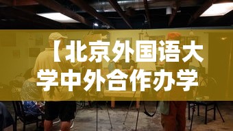 【北京外国语大学中外合作办学,北京外国语大学中外合作办学学费多少】