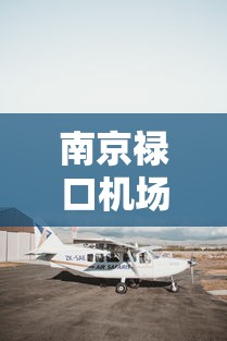 南京禄口机场航班查询:南京今日航班一览表 南京禄口机场航班查询:南京今日航班一览表