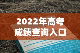 2022年高考成绩查询入口官网—（2022年高考成绩公布日期）