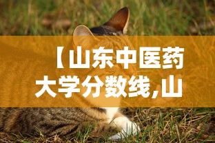 【山东中医药大学分数线,山东中医药大学专升本】