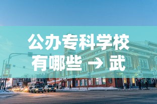 公办专科学校有哪些 → 武汉市公办专科学校有哪些 公办专科学校有哪些 → 武汉市公办专科学校有哪些