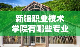 新疆职业技术学院有哪些专业›新疆职业技术学院是公办还是民办 新疆职业技术学院有哪些专业›新疆职业技术学院是公办还是民办
