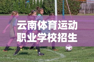 云南体育运动职业学校招生—(云南体育运动职业技术学) 云南体育运动职业学校招生—(云南体育运动职业技术学)