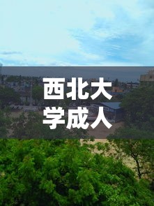 西北大学成人本科：成人本科