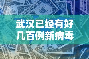 武汉已经有好几百例新病毒感染者 → 武汉2020年疫情是什么病毒 武汉已经有好几百例新病毒感染者 → 武汉2020年疫情是什么病毒
