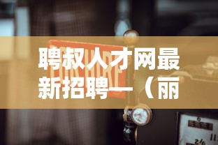 聘叔人才网最新招聘—（丽水聘叔人才网）