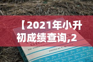 【2021年小升初成绩查询,2021年小升初成绩查询江苏】