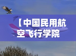 【中国民用航空飞行学院·中国民用航空飞行学院在哪个城市】 【中国民用航空飞行学院·中国民用航空飞行学院在哪个城市】