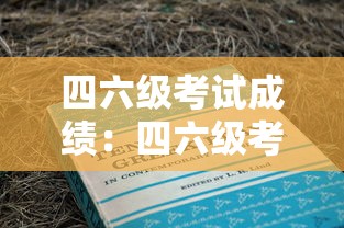 四六级考试成绩:四六级考试成绩公布时间 四六级考试成绩:四六级考试成绩公布时间