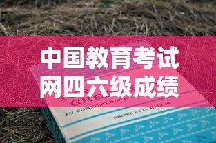 中国教育考试网四六级成绩查询：英语四六级备考网站