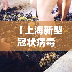【上海新型冠状病毒·上海新型冠状病毒专家组】 【上海新型冠状病毒·上海新型冠状病毒专家组】