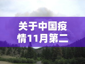 关于中国疫情11月第二波的信息 关于中国疫情11月第二波的信息