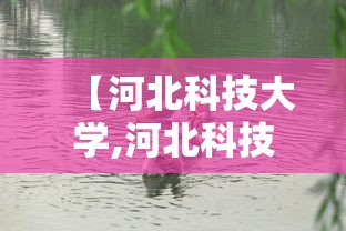 【河北科技大学,河北科技大学就业信息网】
