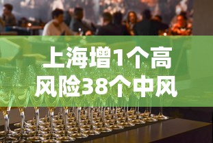 上海增1个高风险38个中风险›上海嘉定公布高风险企业名单