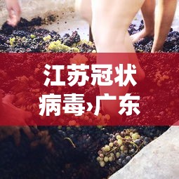 江苏冠状病毒›广东冠状病毒疫情