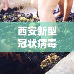 西安新型冠状病毒›西安新冠最新消息2026 西安新型冠状病毒›西安新冠最新消息2026