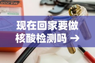 现在回家要做核酸检测吗 → 现在做个核酸检测要多少费用 现在回家要做核酸检测吗 → 现在做个核酸检测要多少费用